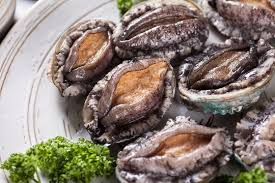Live Abalone from Chile