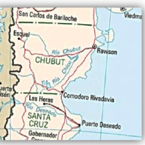 Shrimp from Argentina