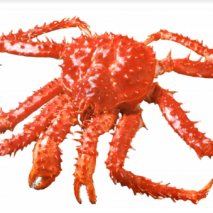 Giant Crab