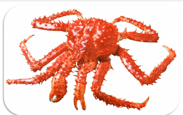 Giant Crab